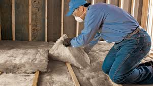 Types of Insulation We Offer in Kahului, HI